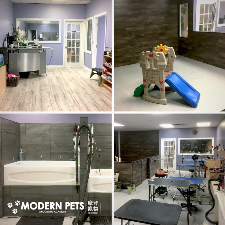modernpetsgrooming_promo_02